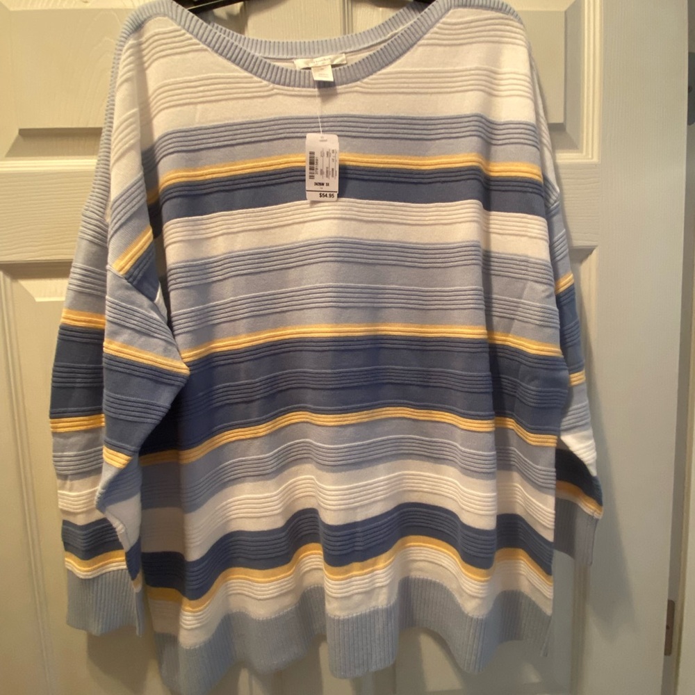 CJ Banks Blue and Yellow Striped Sweater